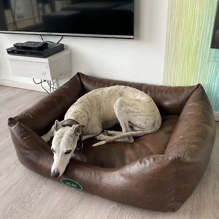 Bottsand Marina Semesterbostad